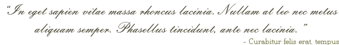 “In eget sapien vitae massa rhoncus lacinia. Nullam at leo nec metus  aliquam semper. Phasellus tincidunt, ante nec lacinia.” - Curabitur felis erat, tempus